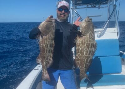 Black Grouper