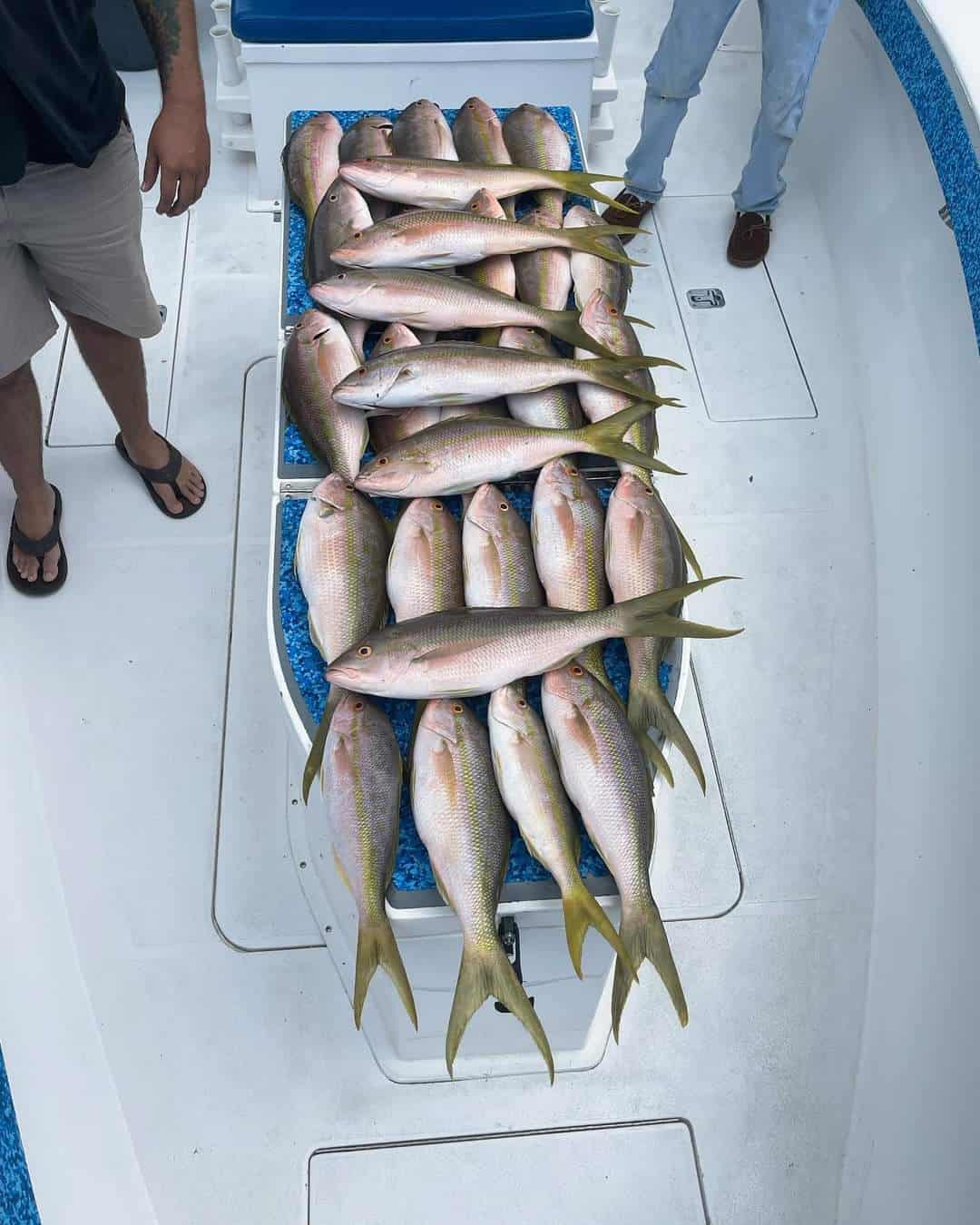Too Lethal Fishing Charters | Reef Fishing Key West, FL Too Lethal Fishing Charters | Reef Fishing Key West, FL