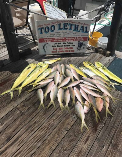 Too Lethal Fishing Charters | Wreck Fishing Key West, FL Too Lethal Fishing Charters | Wreck Fishing Key West, FL